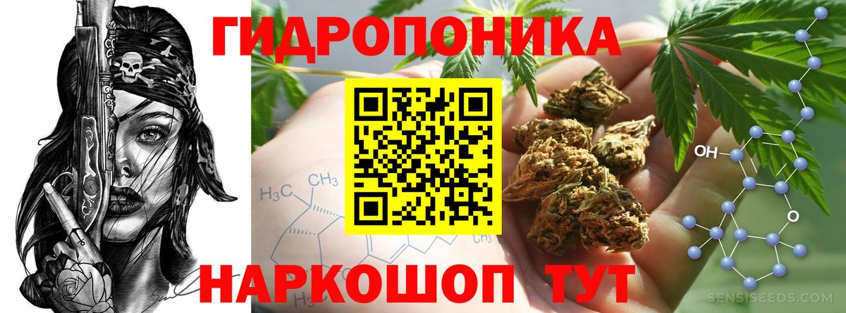 Каннабис конопля Советский